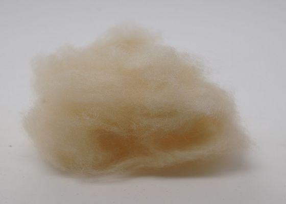 alto non poliestere elastico del tessuto di 2.5Dx51mm per l'interno automobilistico