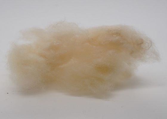 alto non poliestere elastico del tessuto di 2.5Dx51mm per l'interno automobilistico