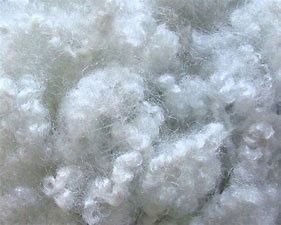 Fibra di poliestere tinta di Siliconized della cavità di allungamento dai chip del vergine